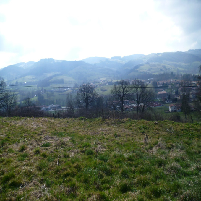 Offres de vente Terrain Sainte-Foy-l'Argentière (69610)